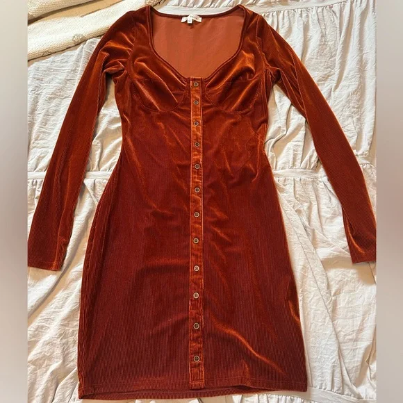 Bear Dance Velvet Bodycon Long Sleeve Mini Dress - Picture 3 of 6